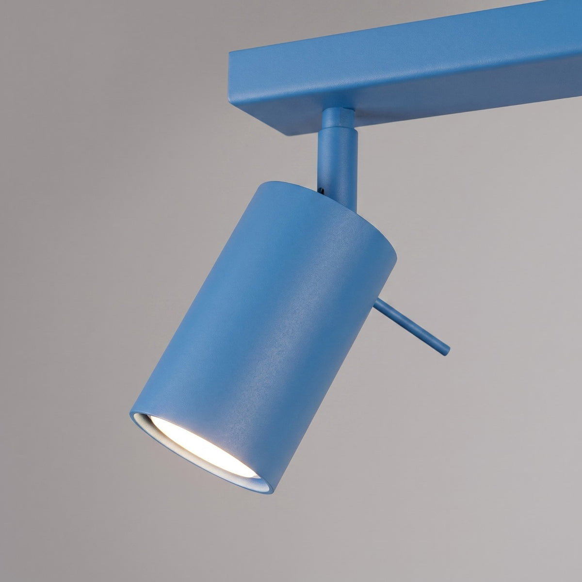 Ceiling lamp RING 2 azure